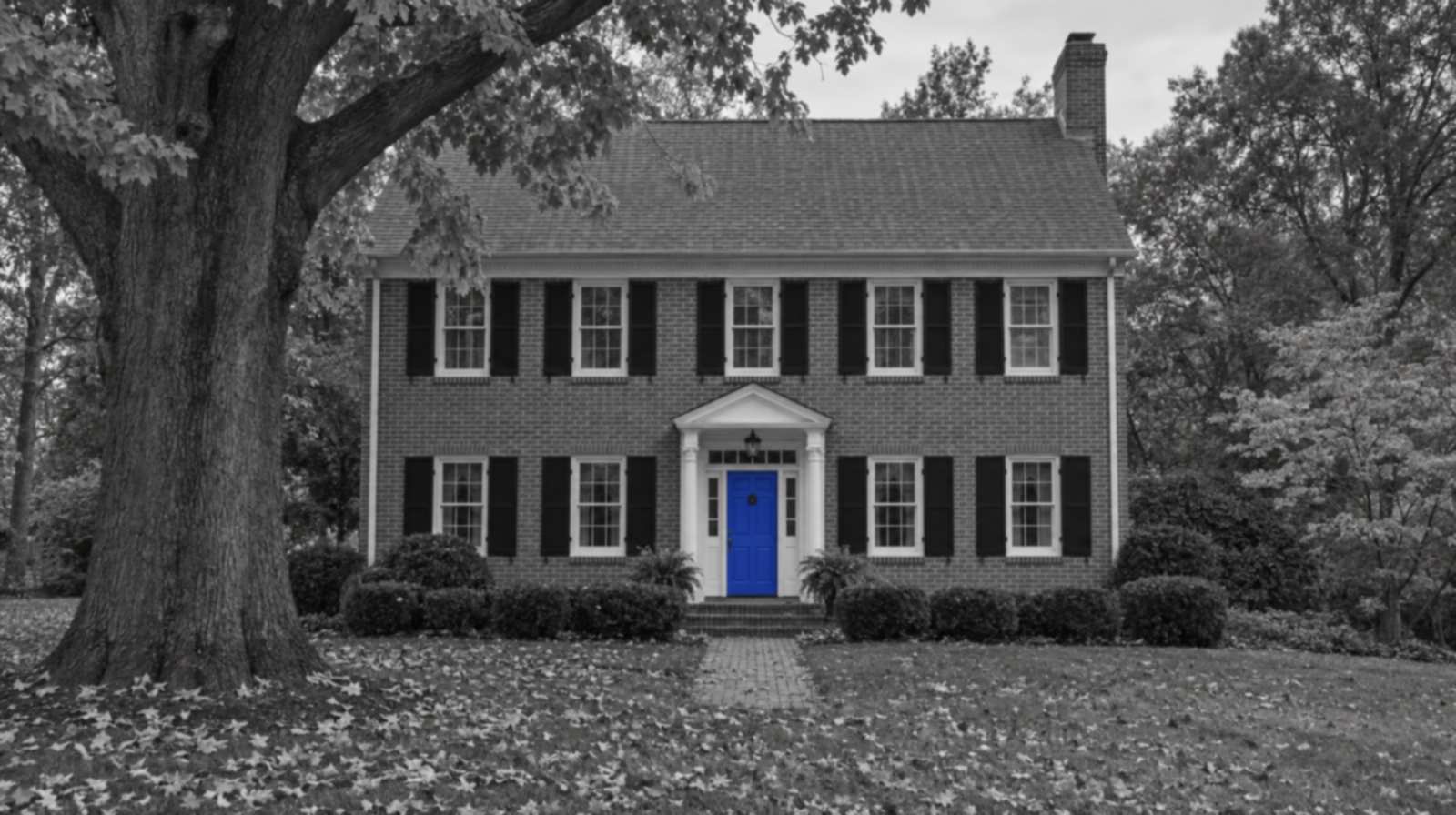 Black-and-white photo of a two-story red-brick Colonial with black shutters behind a big oak shedding autumn leaves. Only the front door is bright blue.