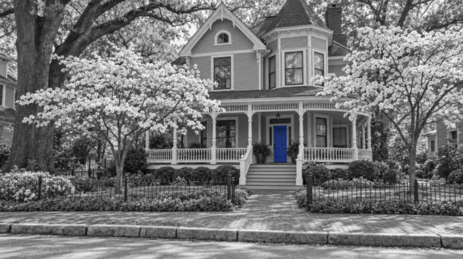Black-and-white picture of a Queen Anne Victorian in Atlanta's Inman Park, with a wraparound porch, dogwoods in bloom on both sides and an electric blue front door.