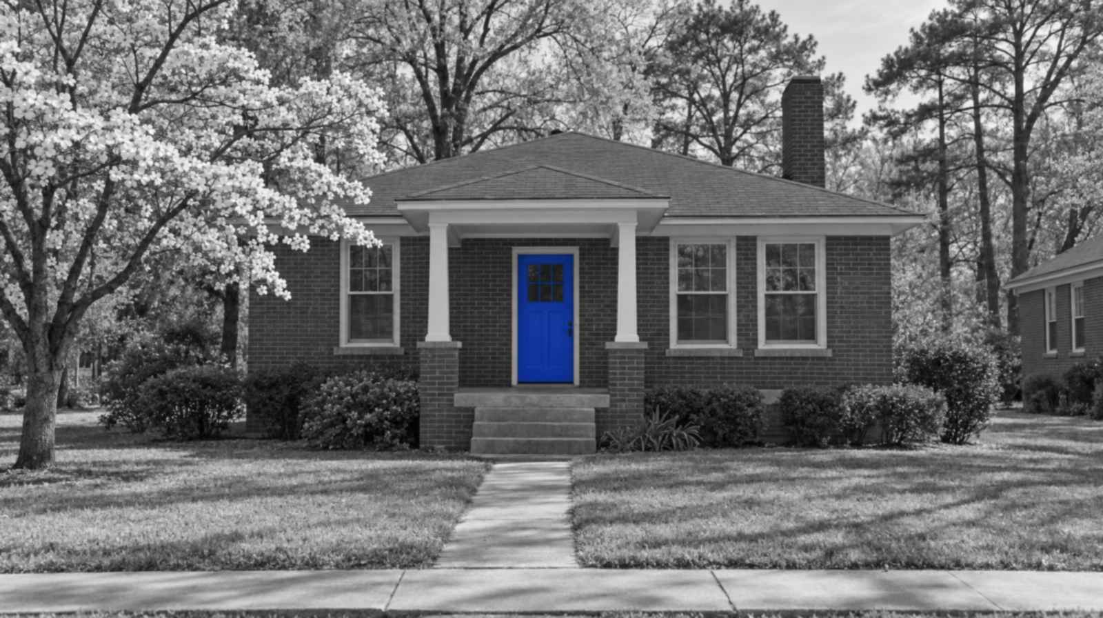Black-and-white photo of a small brick house in a Greensboro mill village, with a dogwood in white bloom beside it and a bright blue front door.