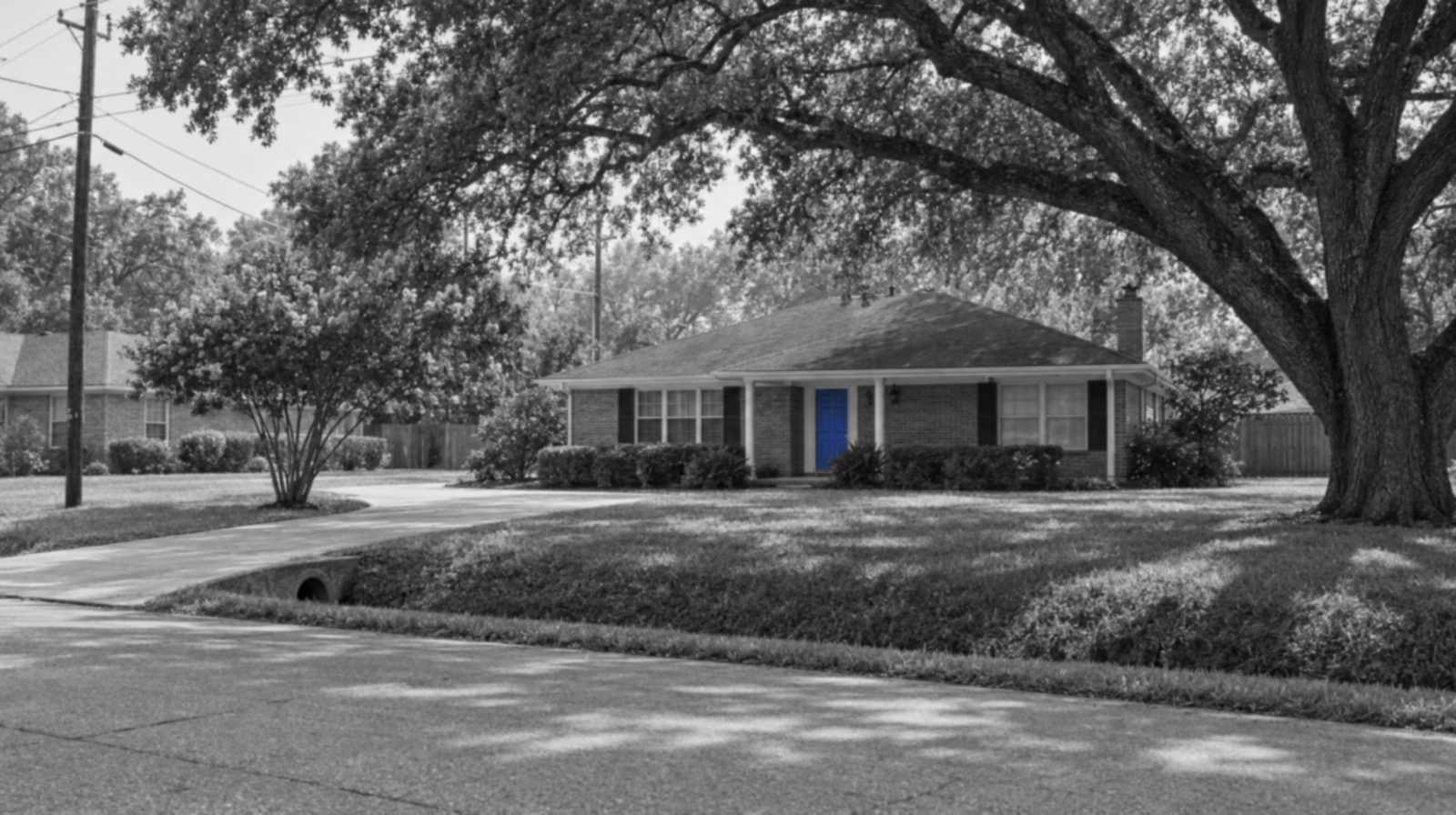 Black-and-white photo of a one-story brick ranch house under a huge live oak on a Houston-area street, with a grassy drainage ditch, a driveway culvert and power lines. Only the front door is blue.