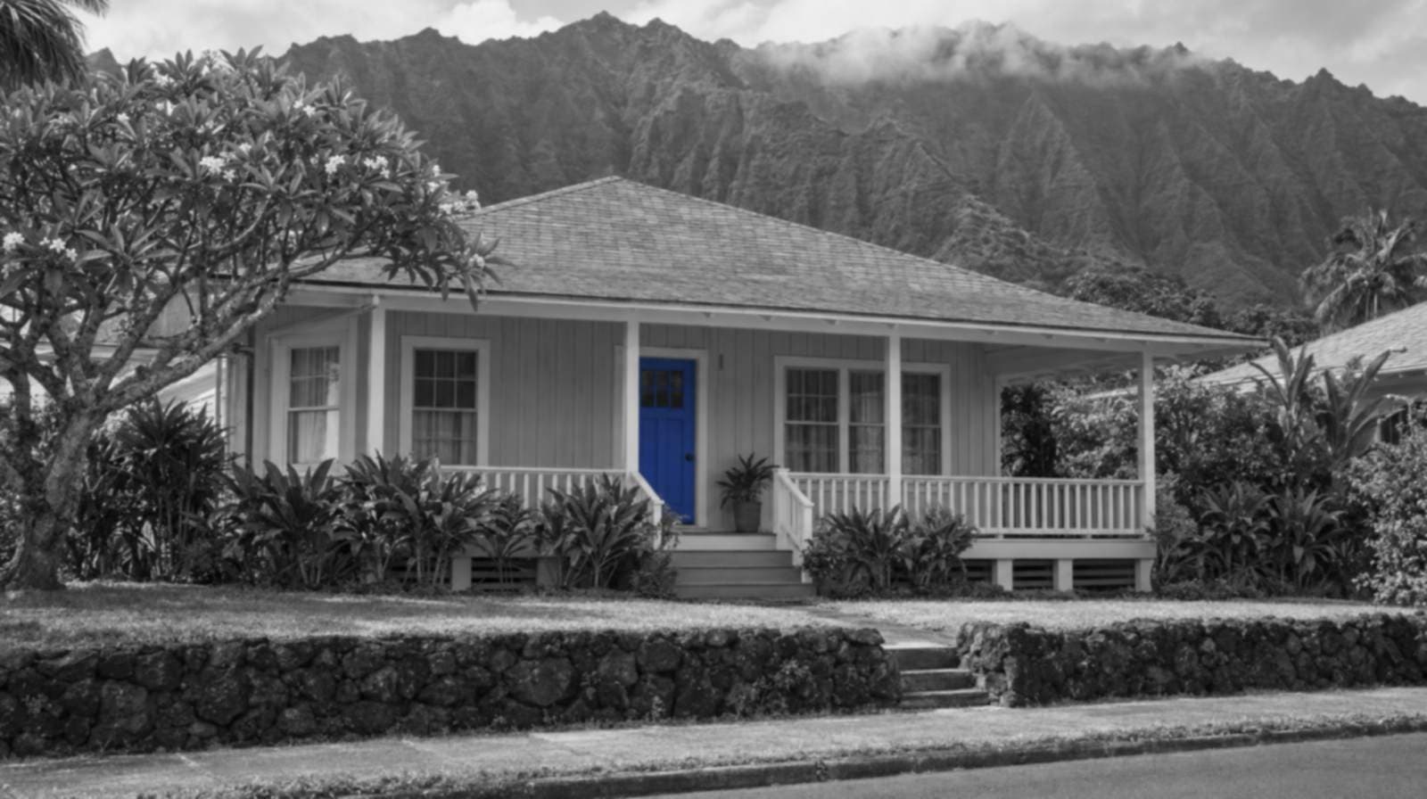 Black-and-white photo of a plantation-style Honolulu cottage with a covered lanai, a lava-rock wall and a plumeria tree below the steep Ko'olau ridges. The front door is bright blue.