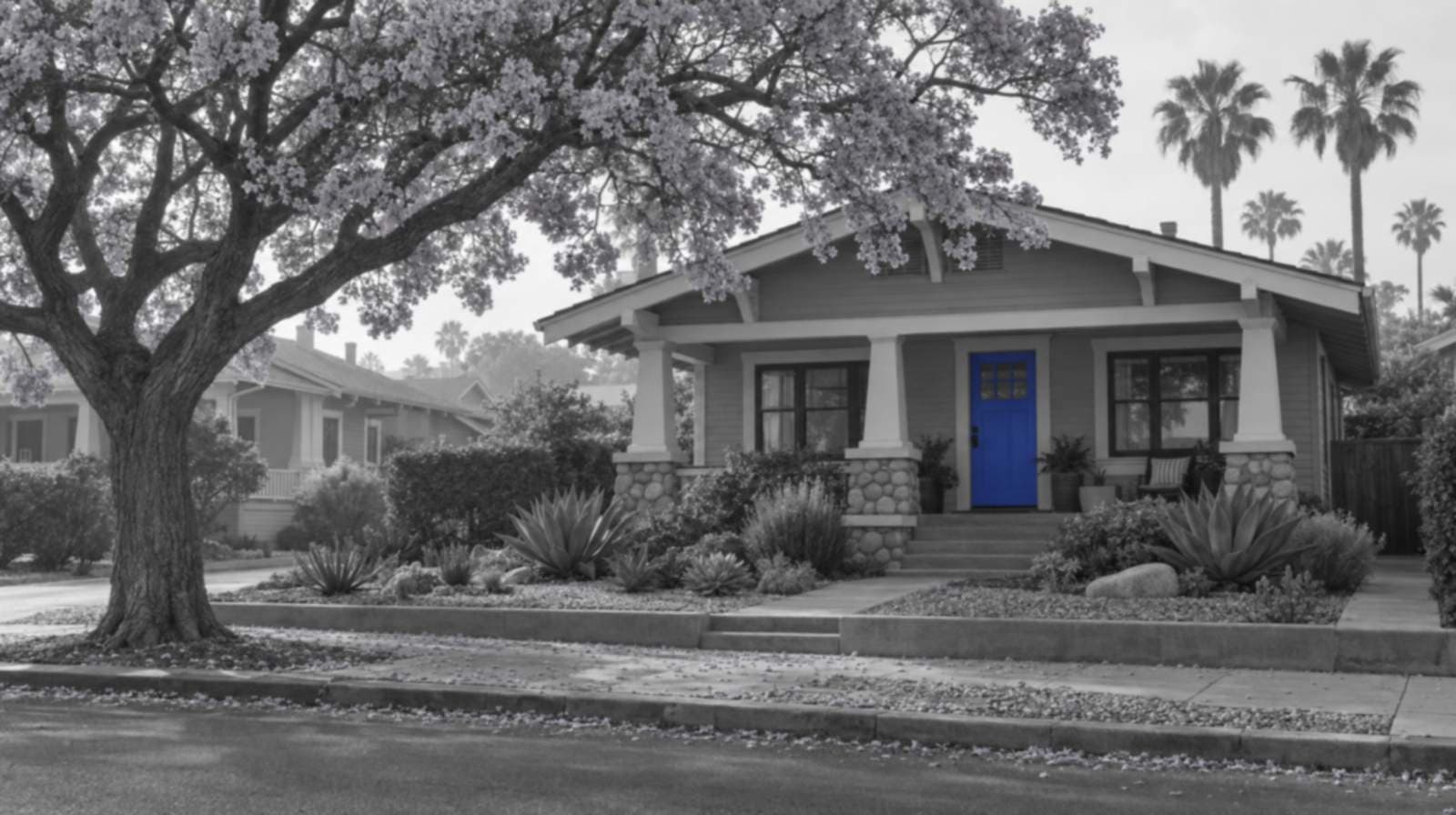 Black-and-white photo of a San Diego craftsman bungalow with stone porch pillars, agave in the front yard and a jacaranda tree arching over the sidewalk. The front door is bright blue.