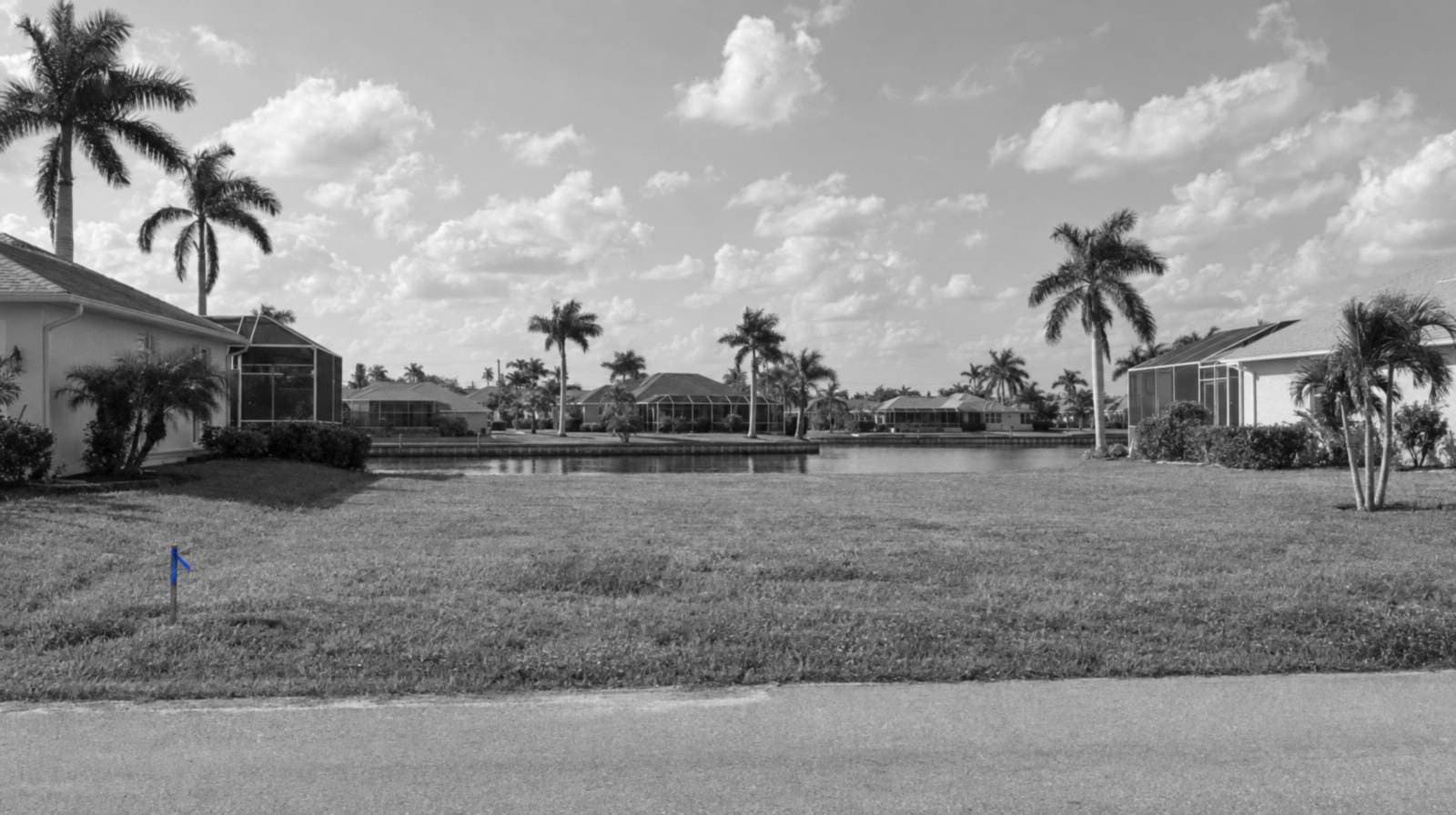 Black-and-white photo of an empty, mowed lot on a Cape Coral canal street, with royal palms, screened pools and one blue survey stake.